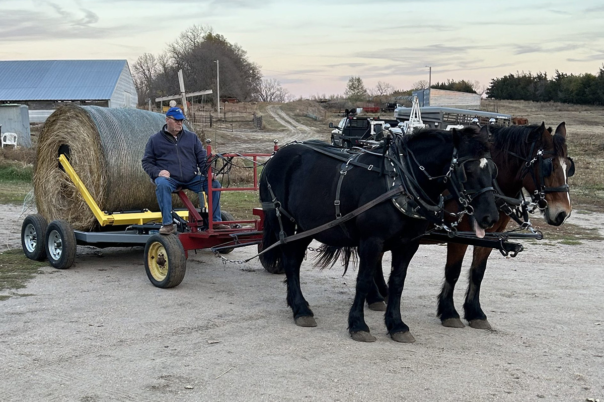 A horse-drawn hydraulic hay bale handler transporting a large round bale, showcasing an efficient hay management solution for small-scale and sustainable farming.
